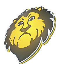 LOGO shape
