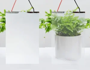 Smart Film & Smart Glass